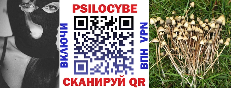 Галлюциногенные грибы ЛСД  Купить где  Бикин 