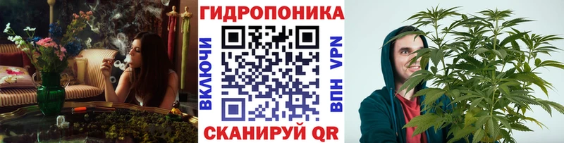 Купить где  Бикин  Каннабис Bruce Banner 